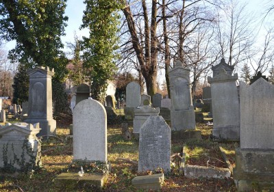 Cmentarz Żydowski w Dzierżoniowie - to miejsce jest zapomniane i nieznane - 11