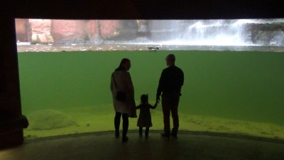 Wrocław: Drugi dzień świąt na łyżwach albo w zoo [FILMY]  - 1