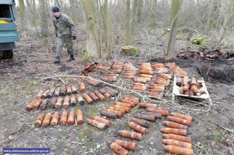 40 skrzyń z pociskami sprzed 100 lat w lesie pod Strzelinem - zdjęcia: Dolnośląska Policja