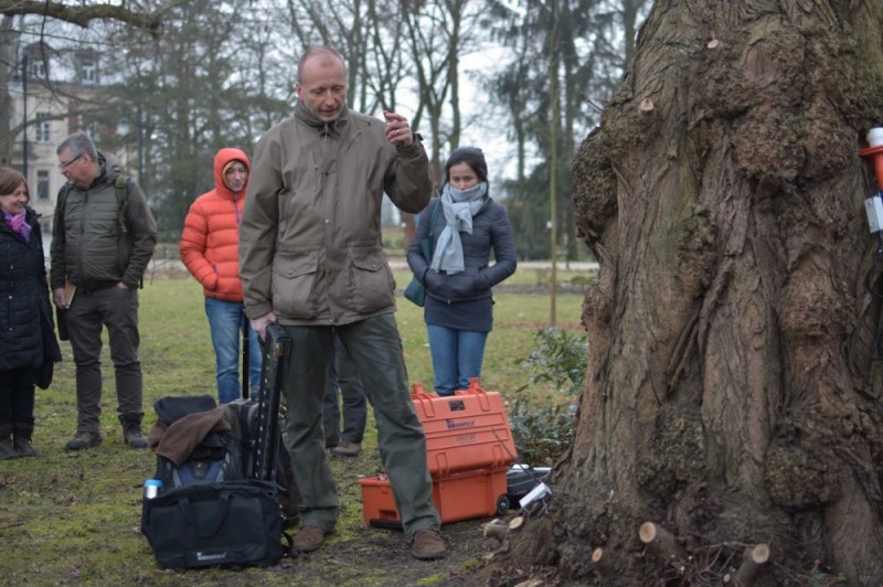 Uczą urzędników, jak nie wycinać drzew w mieście - fot. Jakub Józefczuk