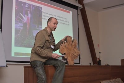 Uczą urzędników, jak nie wycinać drzew w mieście - 0
