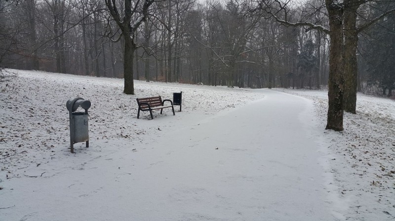 Park w wałbrzyskiej dzielnicy Rusinowa wyjdzie z cienia [ZOBACZ] - fot. Bartosz Szarafin