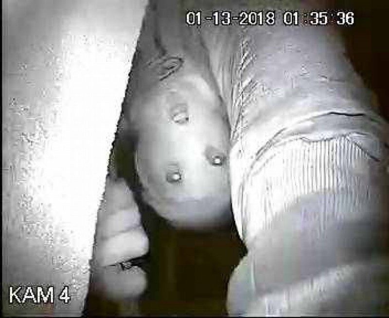 Najciemniej pod latarnią? Zuchwały złodziej kradnie kamery monitoringu - Złodzieja podczas akcji uchwyciła jedna z kamer (fot. monitoring w gimnazjum)