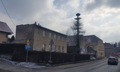 Awantura o bocianie gniazdo: "Ptaki zzrzucają jaszczurki i odchody" [POSŁUCHAJ] - 2