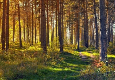 Pogoda: Przelotne opady deszczu i do 15&deg;C