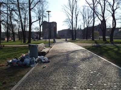 Wrocław: Góry śmieci na Wyspie Słodowej [ZDJĘCIA] - 12