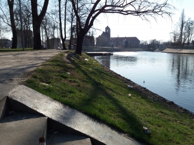 Wrocław: Góry śmieci na Wyspie Słodowej [ZDJĘCIA] - 23