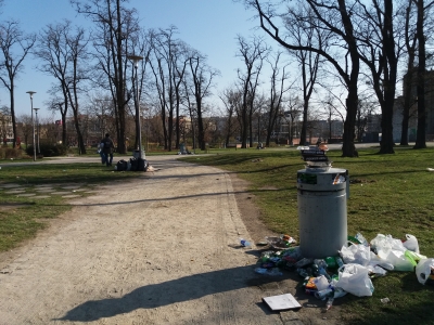 Wrocław: Góry śmieci na Wyspie Słodowej [ZDJĘCIA] - 26