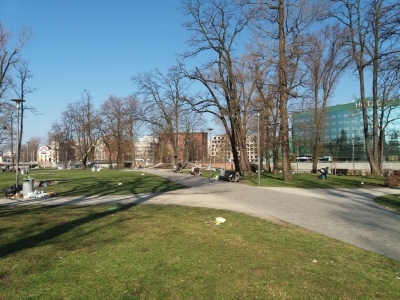 Wrocław: Góry śmieci na Wyspie Słodowej [ZDJĘCIA] - 28