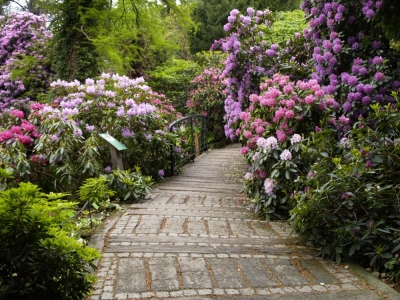Arboretum w Wojsławicach rozpoczyna nowy sezon