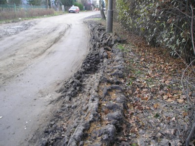 Koszmar o poranku na Świcie (Zobacz i Posłuchaj) - 4
