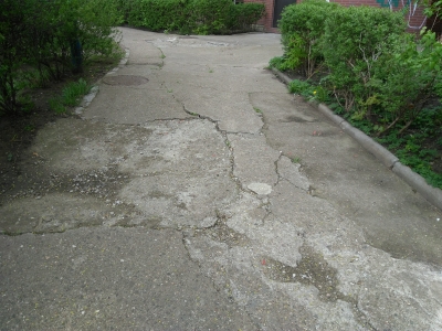 Mieszkańcy trawą podzieleni - 0