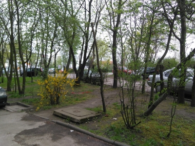 Mieszkańcy trawą podzieleni - 1