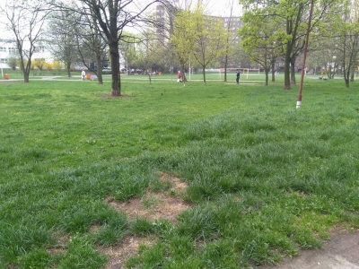 Mieszkańcy trawą podzieleni - 2