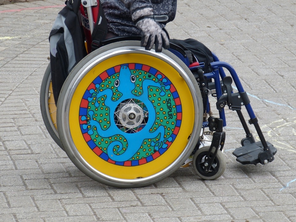 Dzień Osób z Niepełnosprawnością. "Sięgnij po sukces" - Sprawdź, jakie wydarzenia organizuje Twój oddział ZUS (fot. Pixabay)