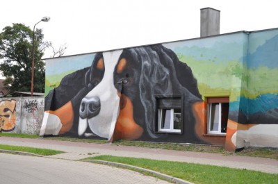 Wrocław - zaskakujące oblicze nowej lecznicy (Zobacz) - 2
