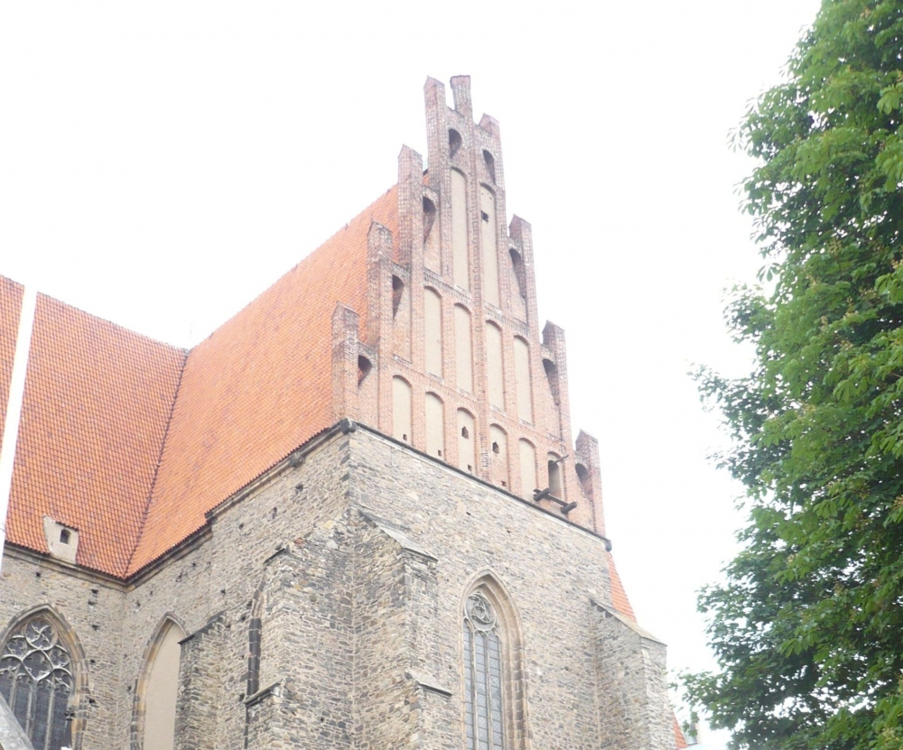 Niezwykła uroczystość historyczno-religijna w Strzegomiu - fot. Barbara Szeligowska