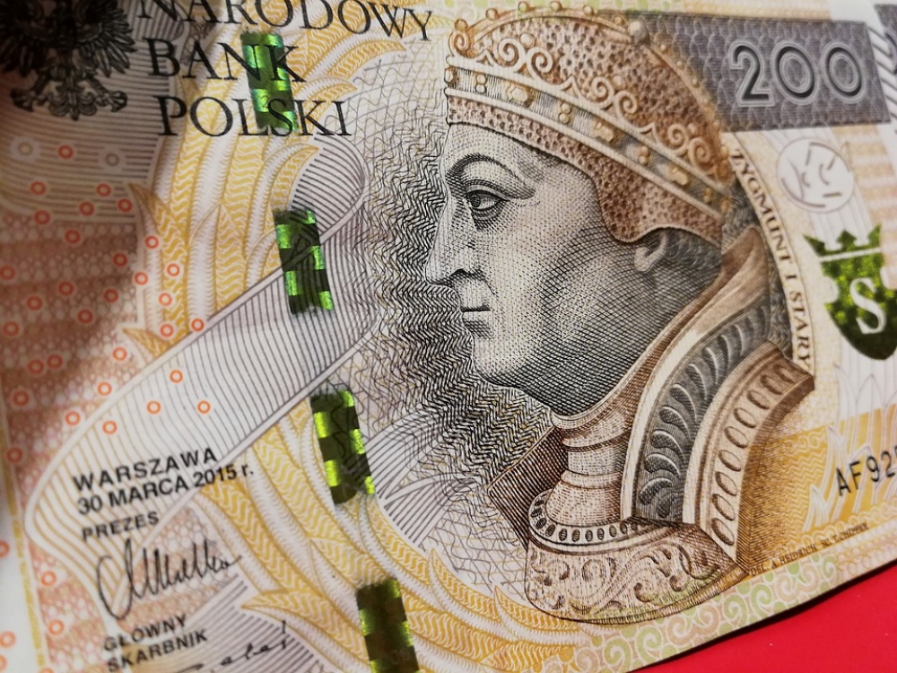 Zastanawiają się, na co wydawać publiczne pieniądze? - Zdjęcie ilustracyjne (fot. Pixabay)