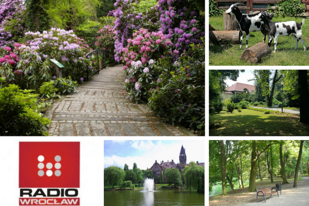 TOP5 dolnośląskich parków [GŁOSOWANIE] - 