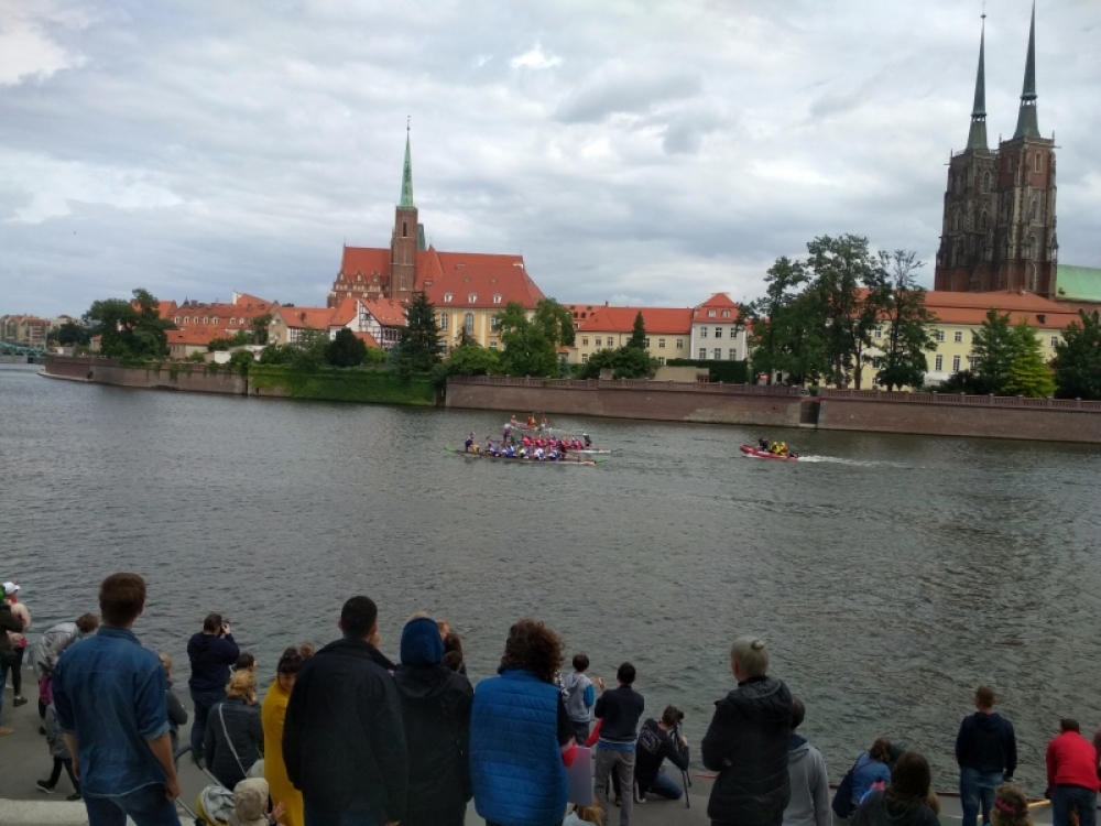 Finały #TumskiCup. Smocze łodzie na Odrze [ZDJĘCIA] - (fot. Radio Wrocław)