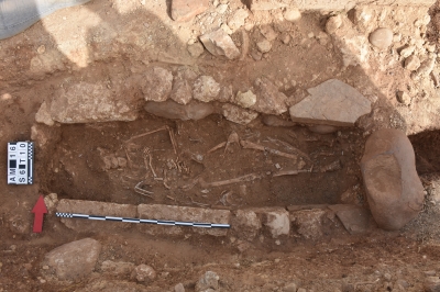 Rozmowa Dnia: Ludzie północy na Sycylii. Fascynujące badania wrocławskich archeologów [POSŁUCHAJ, ZOBACZ] - 2