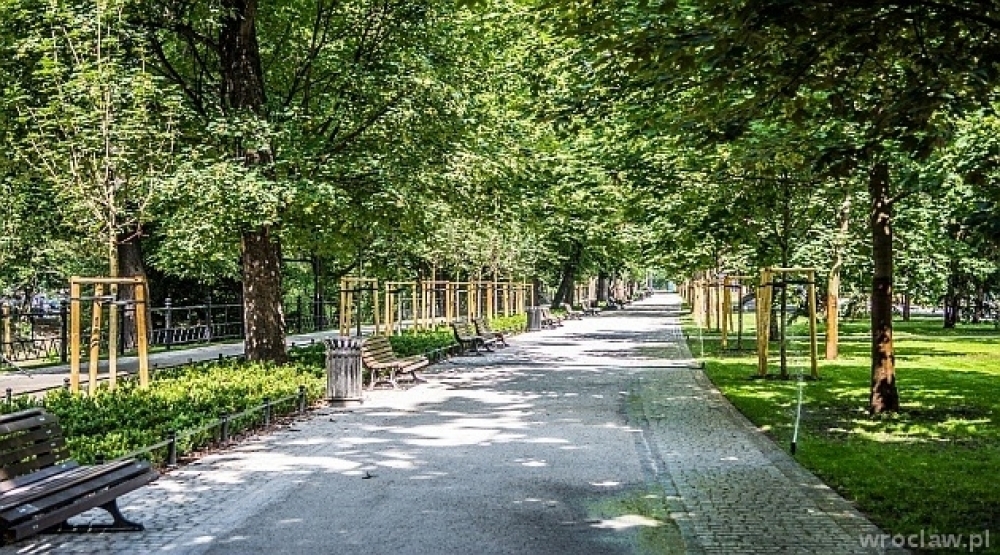  W centrum Wrocławia zostanie posadzony las? - 