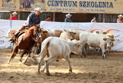 Międzynarodowe Mistrzostwa Polski Western i Rodeo (POSŁUCHAJ) - 4