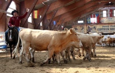 Międzynarodowe Mistrzostwa Polski Western i Rodeo (POSŁUCHAJ) - 5