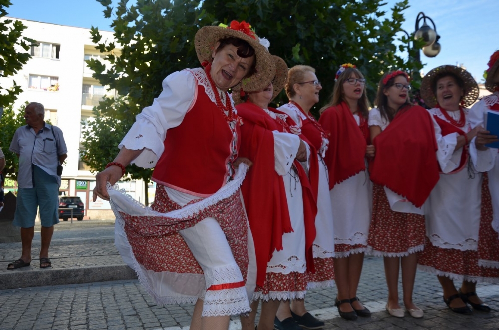 Strzegom: Międzynarodowy Festiwal Folkloru [ZDJĘCIA, WIDEO] - Fot: A. Skupień
