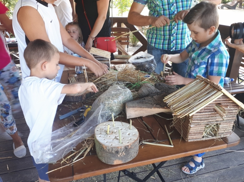 Legnica: Dzieci budowały w palmiarni domki dla owadów - Fot: K. Kurczab