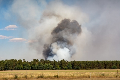 Wrocław: Ogromny pożar w okolicy Stabłowic. Ogień zajął 30 hektar&oacute;w