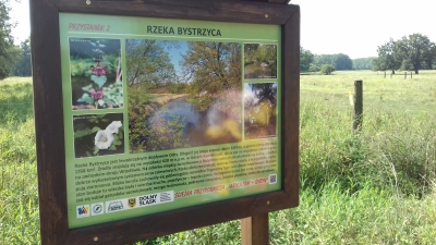 Na wrocławskim Jarnołtowie powstała nowa atrakcja dla miłośników przyrody - 6