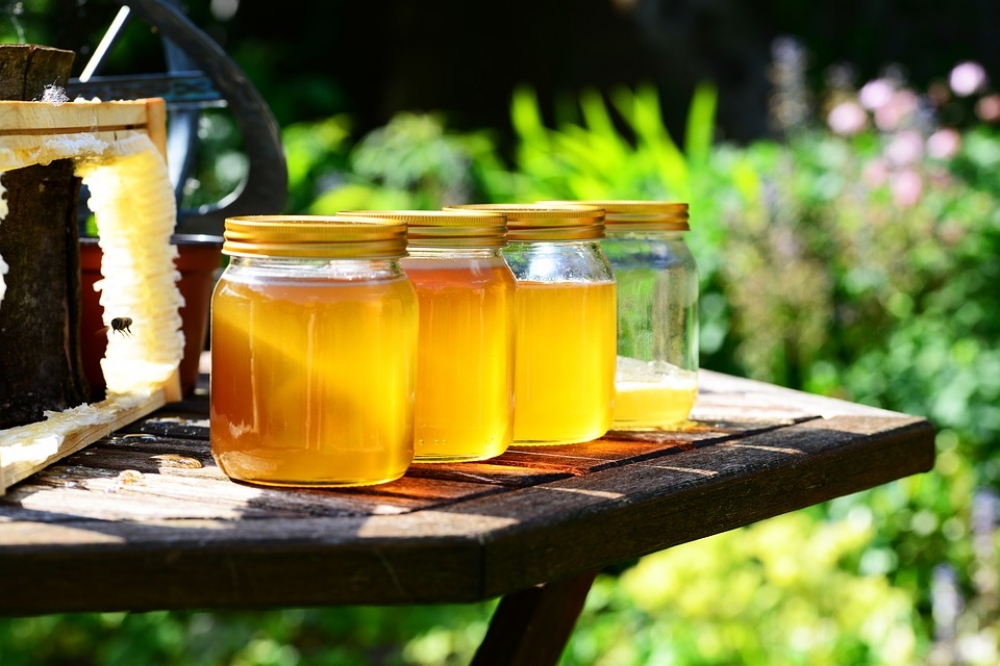 Cieplice opanowali pszczelarze [WIDEO] - fot. pixabay (zdjęcie ilustracyjne)
