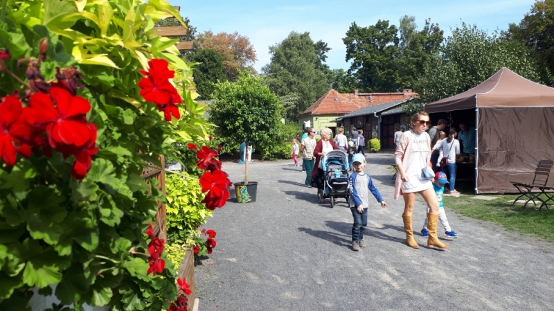 120 Urodziny Legnickiej Palmiarni - 