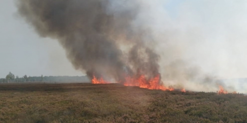 Ogromny pożar na terenie poligonu w Świętoszowie - (fot. PSP Bolesławiec)
