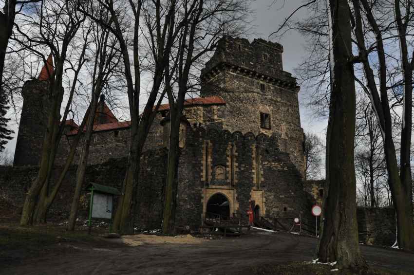 Zamek Grodziec niszczeje. Czy uda się go uratować? (Posłuchaj) - Zamek Grodziec (Fot. Radio Wrocław)