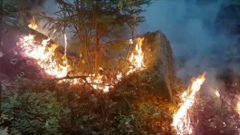 Dziesięć poważnych pożarów lasów w tydzień. Strażacy: To podpalenia - 