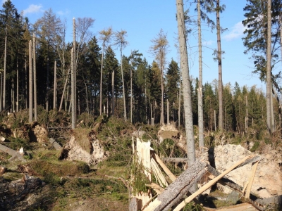 "Takiej klęski od dawna nie było na tym terenie". Zakazy wstępu do karkonoskich lasów [GALERIA] - 3