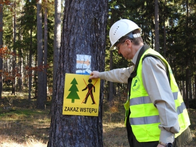 "Takiej klęski od dawna nie było na tym terenie". Zakazy wstępu do karkonoskich lasów [GALERIA] - 0