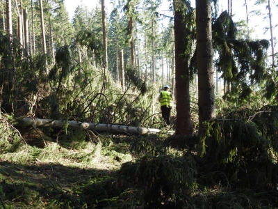"Takiej klęski od dawna nie było na tym terenie". Zakazy wstępu do karkonoskich lasów [GALERIA] - 1