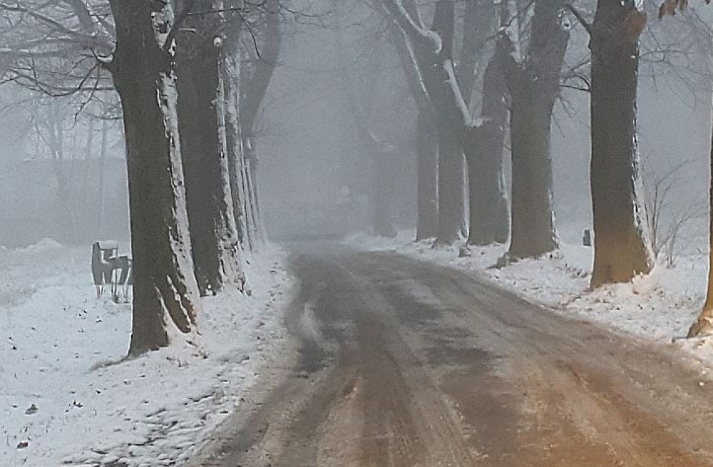 Wałbrzych: Ciemność, widzę ciemność [REAKCJA24] - fot. Bartosz Szarafin