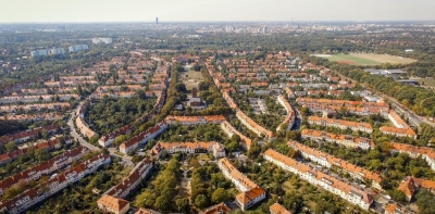 Kł&oacute;tnia o topole na wrocławskim Sępolnie