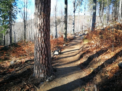 Jelenia Góra: Były problemy, jednak spełnią się marzenia rowerzystów - 5