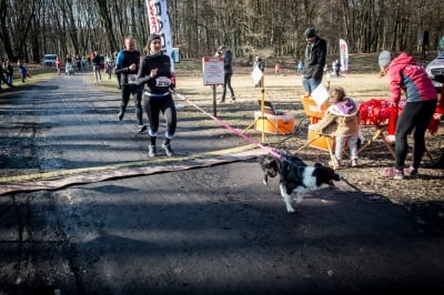 Zakochaj się w bieganiu! Za nami Bieg Walentynkowy Radia Wrocław [FOTO] - 40