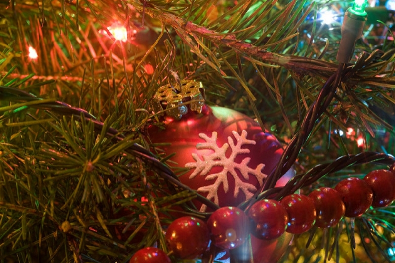 Bożonarodzeniowe drzewko nie zawsze było choinką - zdjęcie ilustracyjne: Andy Eick/flickr.com (Creative Commons)