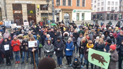 Wrocławianie stanęli w obronie dzik&oacute;w