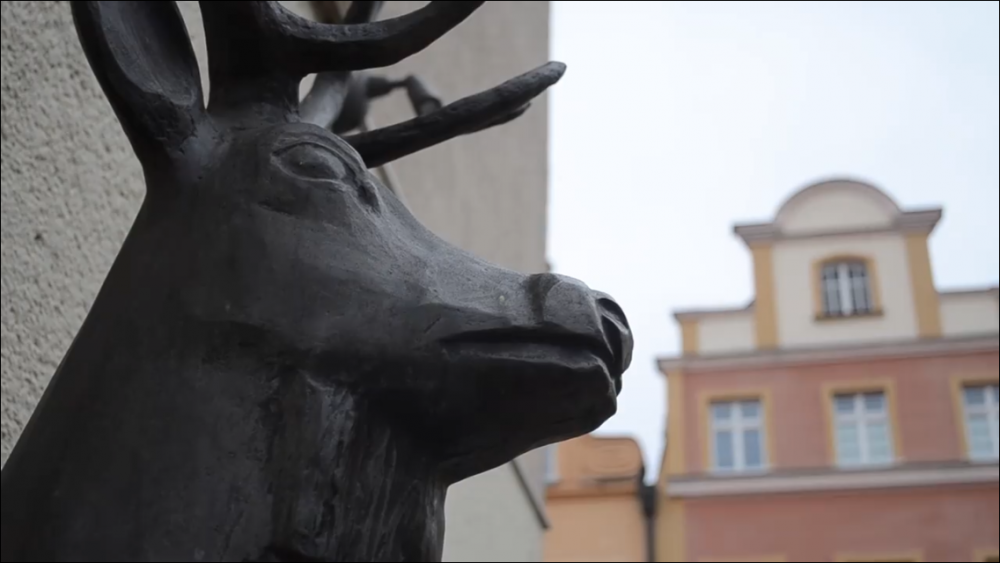 Jelenia Góra: Będzie więcej figurek jelonków - fot. Gabriela Stefanowicz