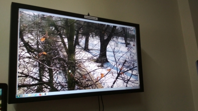 Monitoring w Legnicy zobaczy... zieleń liści. Poza tym "wszystko się wiesza". I na razie tyle – (fot. Andrzej Andrzejewski)