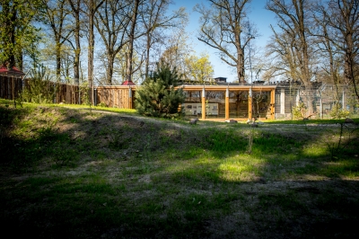 We wrocławskim zoo powstała wilcza ostoja [ZDJĘCIA] - 6