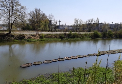 Wrocław: Chcą, by na fosie powstały pływające ogrody